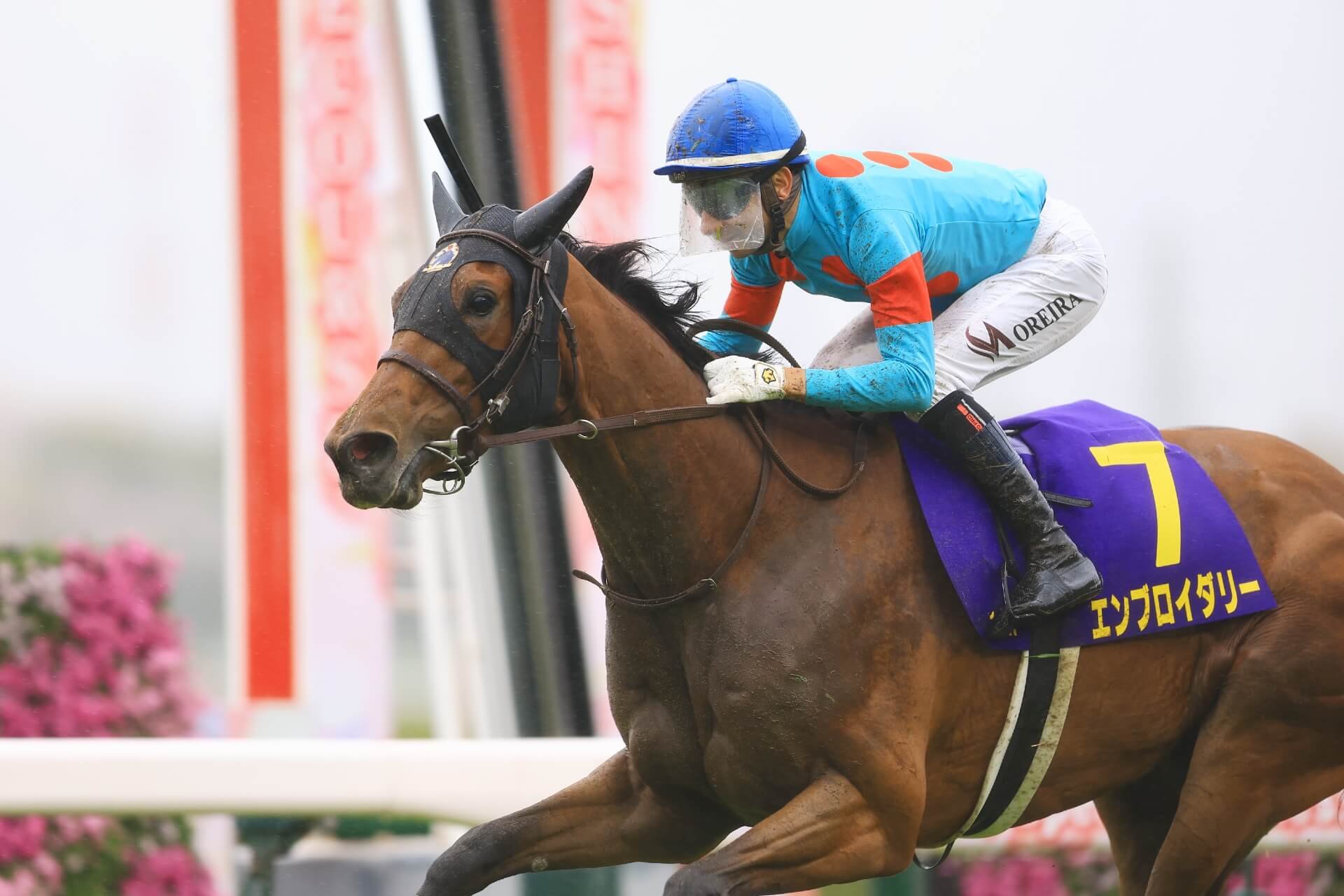 🐎 한신 경마장 이미지 11